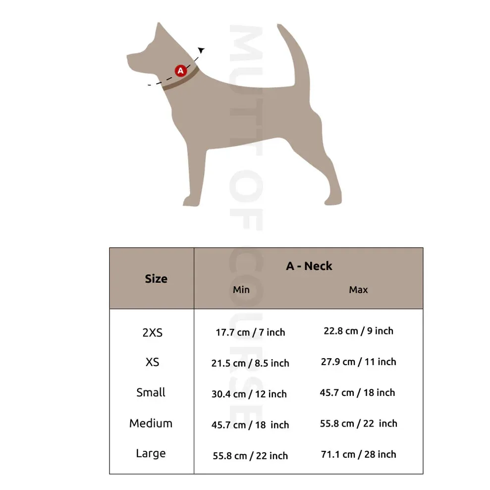 Beers N' Cheers Collar   Leash Set