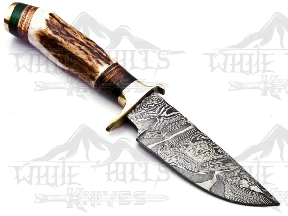 Custom Hand Forged Damascus Steel Hunting Brass Guard Knife& Stag Handle WH 57