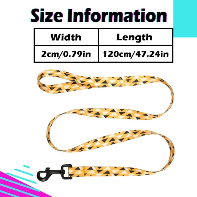 Designer Personalized Dog Collar