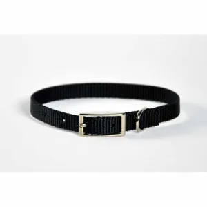 Dog Collar Skinny - 10" Lime Green