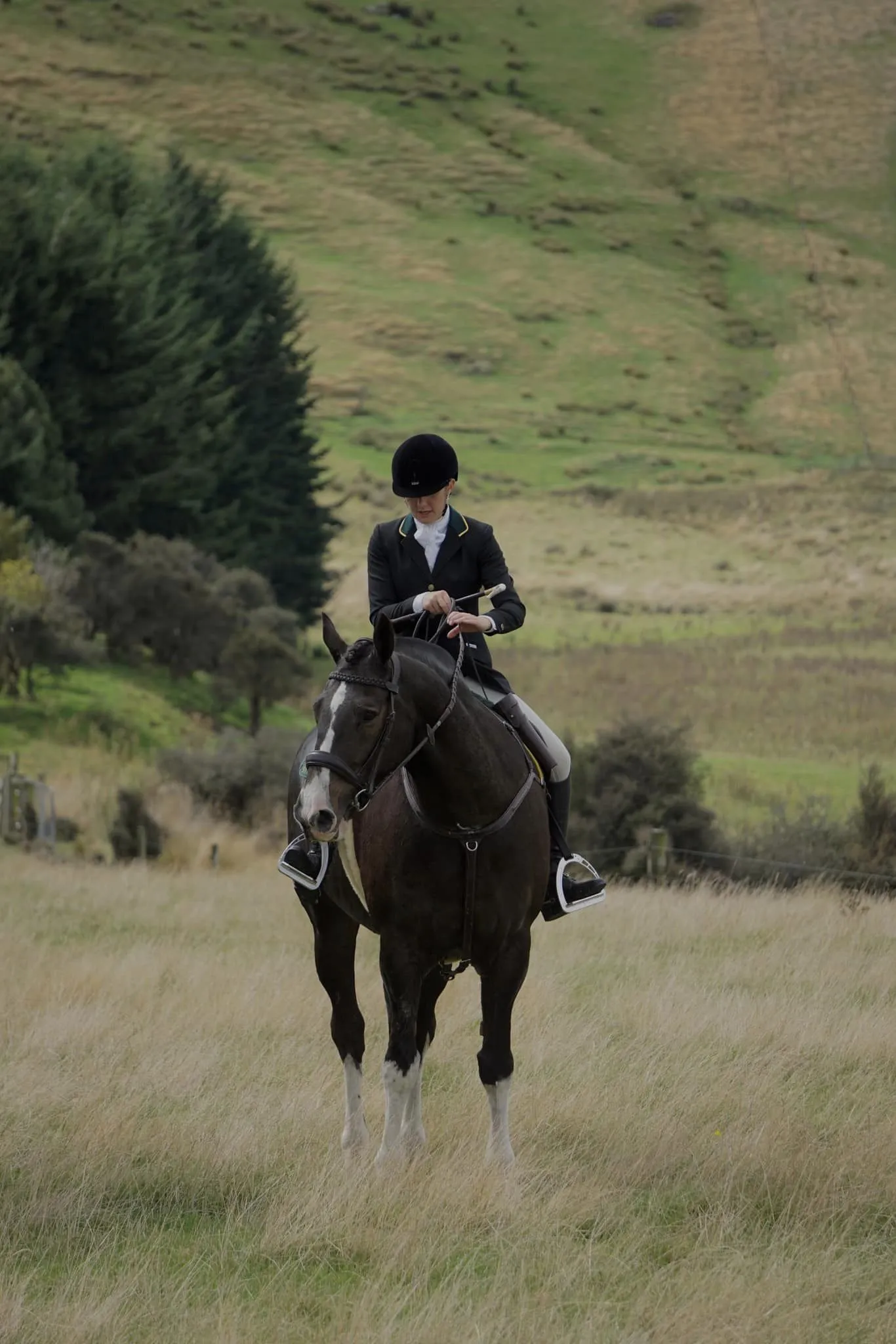 English Leather Plaited Browband