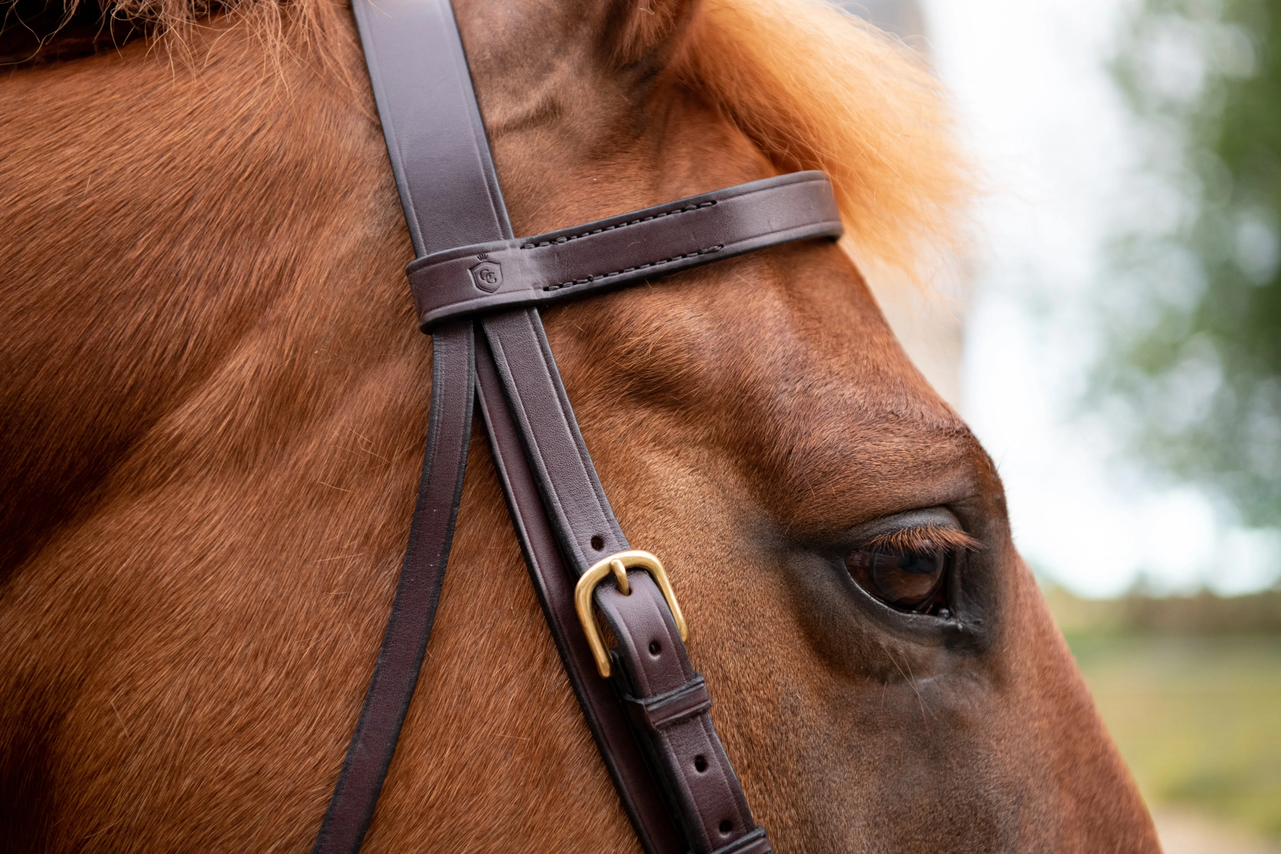 Glaze & Gordon Deluxe Flat Bridle