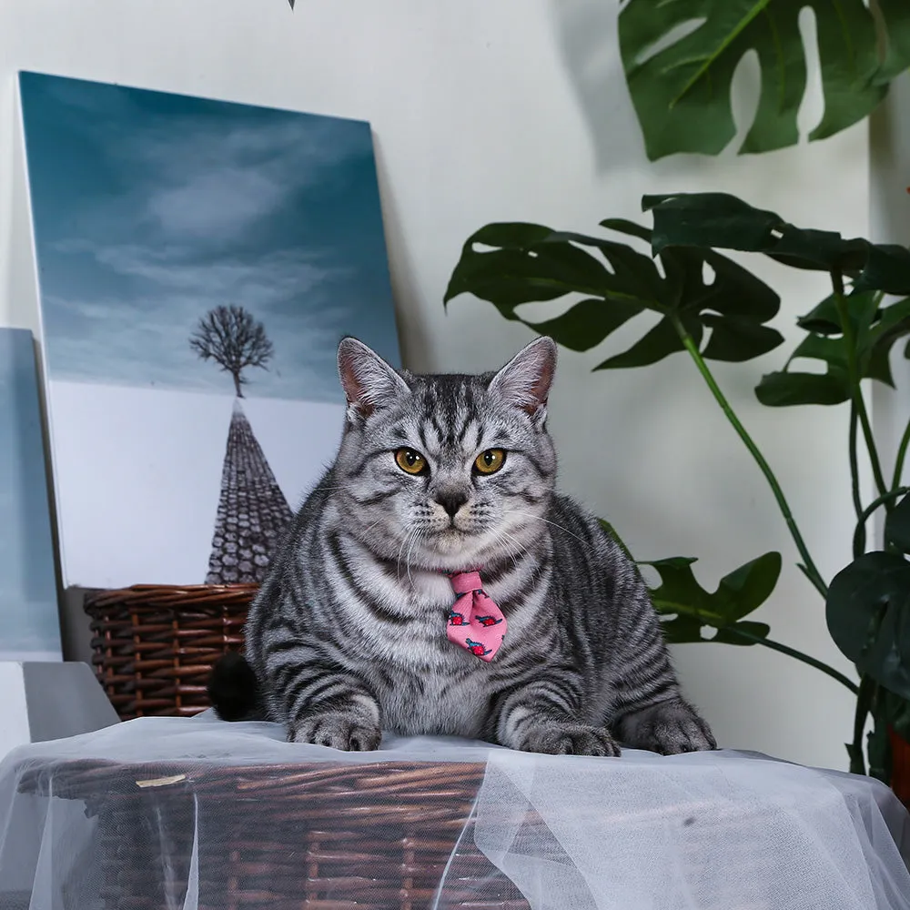 Space Kitty — Catzilla