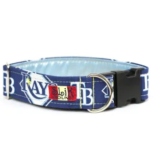 TAMPA BAY RAYS THEMED