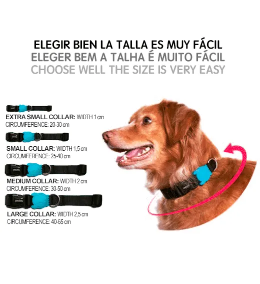 Zee.Dog Salina Collar